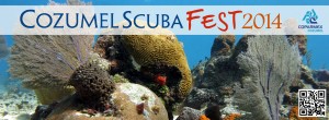 Cozumel Scuba Fest 2014