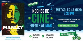 Noches de Cine Frente al Mar @ Blue Parrot