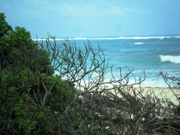 Xcacel: El secreto mejor guardado de la Riviera Maya