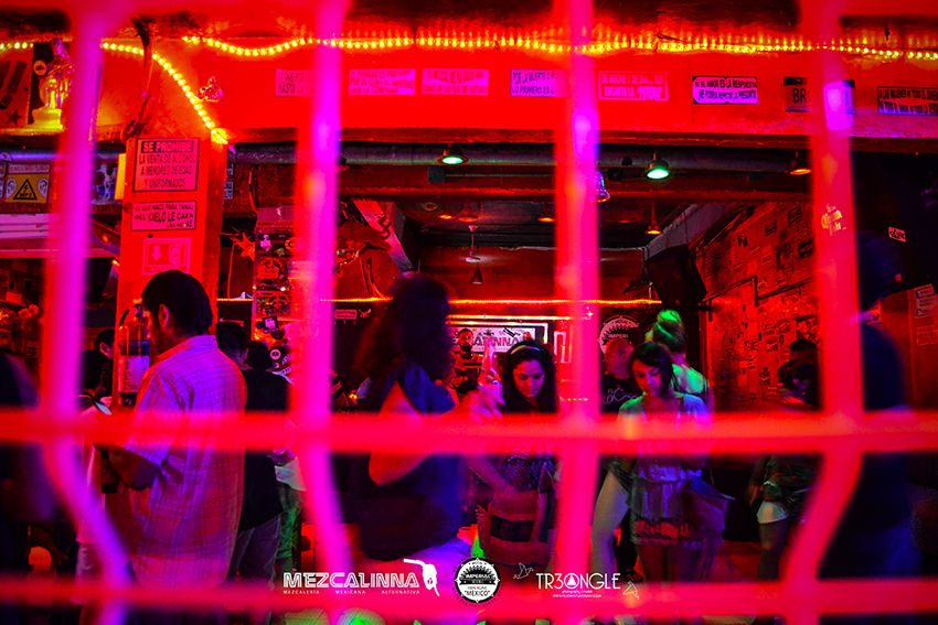 Galería Fotos Playa del Carmen fiestas