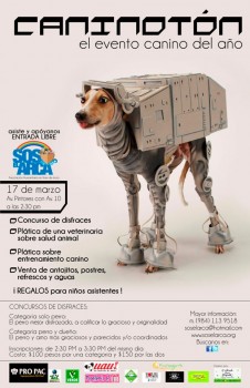 Caninotón @ Playa del Carmen