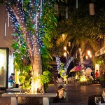 De compras en Playa del Carmen - Shopping