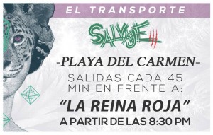Transporte Salvaje 3 @ Playa del Carmen
