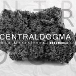 Central Dogma Showcase @ La Mezcalinna
