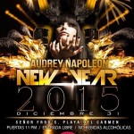 Audrey Napoleon NYE @ Sr. Frogs