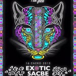 Exotic Sacbe @ Selva Sacbe