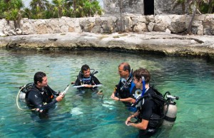 Buceo y snorquel en puerto aventuras