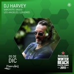 Dj Harvey @ Winter Beach 2015 - Mamitas Beach Club