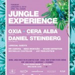 Jungle Experience @ Akumal