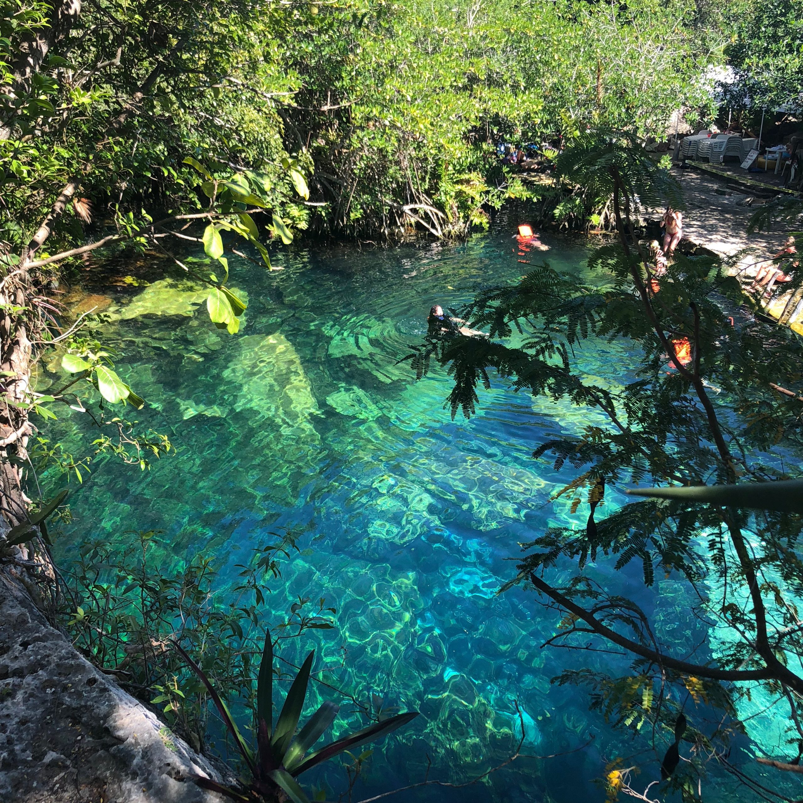 cenotes tulum