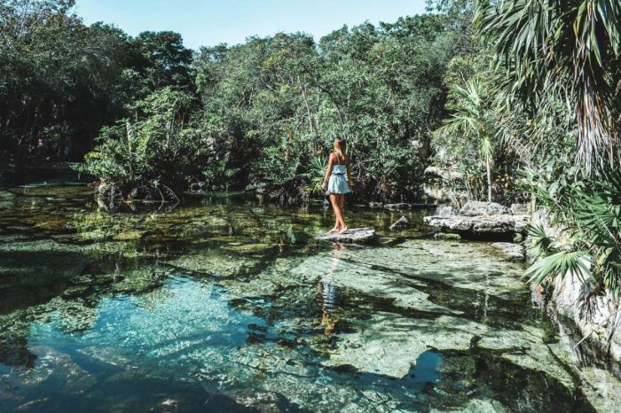 Cenote Azul Playa del Carmen - Viva Playa