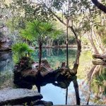 Cenote Chikin Ha - Viva Playa