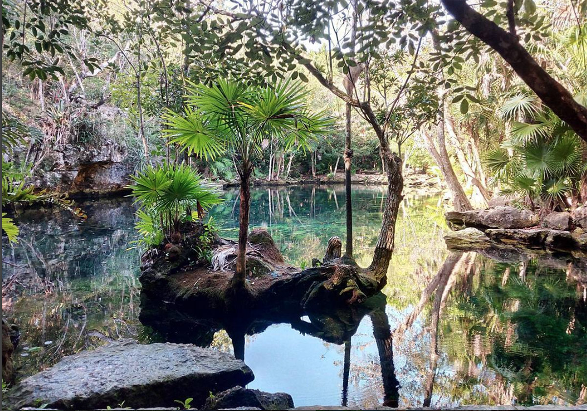 Cenote Chikin Ha - Viva Playa