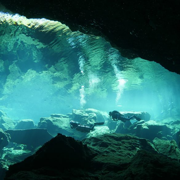 Buceo Playa del Carmen - Viva Playa