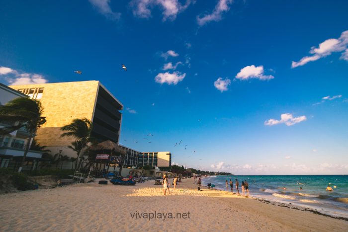 Playas publicas en Playa del Carmen - Viva Playa