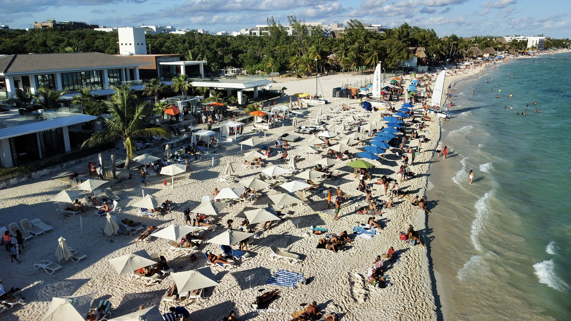 Beach Clubs en Playa del Carmen: Guía 2022 - Viva Playa