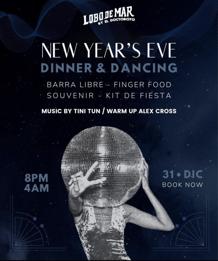 nYE Lobo de mar Playa