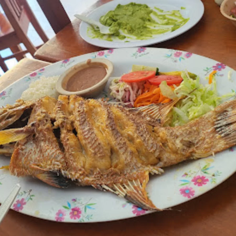 Comida playa del Carmen